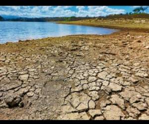 Expertos prevén una extensa temporada calurosa debido al fenómeno de “El niño”.