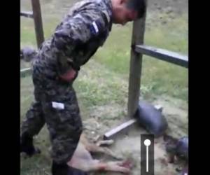 Captura del video en el que un soldado tortura a un perro.