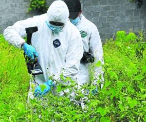 Los ocho asesinatos de niños que se han dado en la colonia La Pradera tienen el mismo patrón criminal.