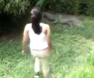 La niña saltó el cerco donde descansaba un cocodrilo. Su amigo grabó las imágenes.