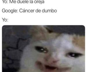 El caso de los usuarios que suelen ir a Google para ahorrarse una visita al doctor ha sido llevado al mundo de los memes. En las redes sociales se está compartiendo un cómico diagnóstico brindado por el famoso buscador, acompañado por la imagen de un gato llorando