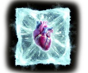 “Cuando salí a la sala, el niño no estaba, solo estaban las mantas y la almohadita... Entonces, empecé a buscarlo y nada... No lo hallé por ninguna parte... Llamé a mi marido al trabajo y le dije que se me había perdido el niño”