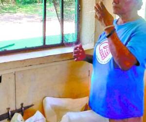 El hecho ocurrió en la Escuela Carlos Roberto Reina