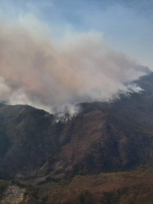 FOTOS: Devastador incedio forestal en Comayagua deja tres menores quemados