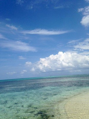 Las Fotos de los Lectores