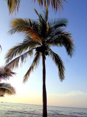 La belleza de Tela en imágenes