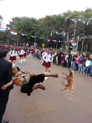Foto del perro en desfile se vuelve viral en redes sociales