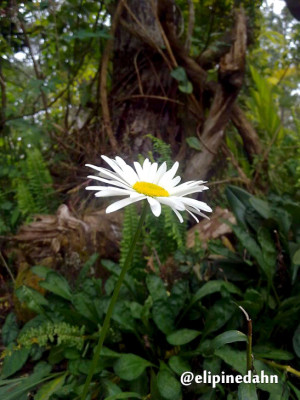 Fotos de los lectores para el Día de la Tierra