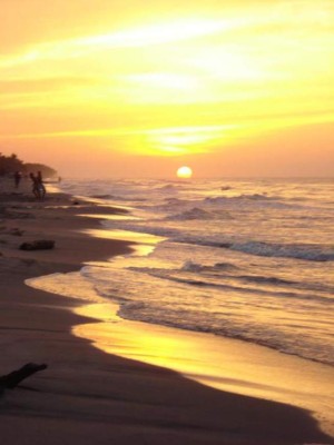 Las Fotos de los Lectores