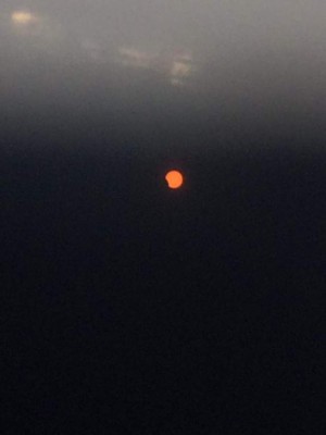 Así vivieron el eclipse solar los hondureños en Estados Unidos y el resto del mundo