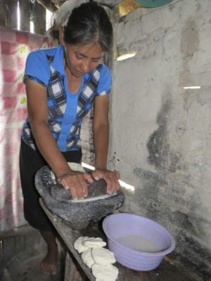 Sequía deja sin alimentos a 1,600 familias del sur de Guajiquiro