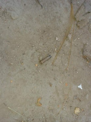 Honduras: El noble y valiente rescate de animales tras masacre en colonia Mirador de Oriente de la capital