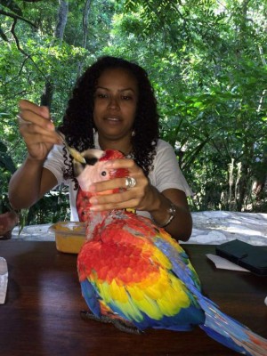 Ginger, el vuelo de una guacamaya