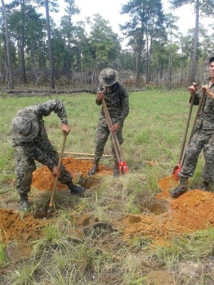 Destruyen narcopista en el noreste de Honduras
