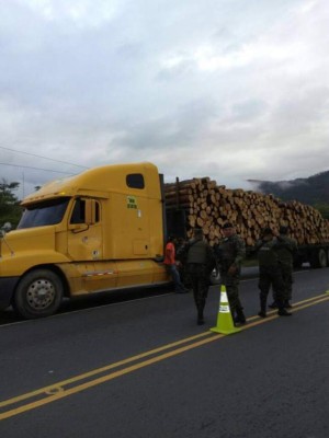 'Operación Tifón': Golpe al crimen mediante allanamientos y capturas en toda Honduras