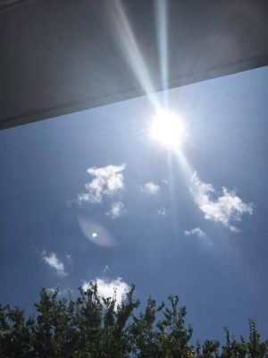 Así vivieron el eclipse solar los hondureños en Estados Unidos y el resto del mundo