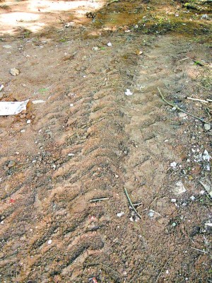 Honduras: MP inicia investigación de misterioso entierro de medicamentos