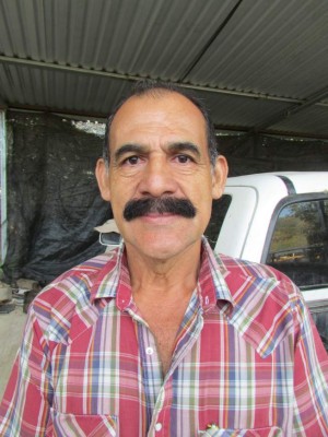 Expertos de Senasa investigan rara enfermedad mataganado