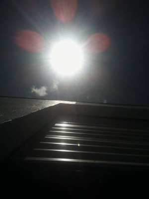 Así vivieron el eclipse solar los hondureños en Estados Unidos y el resto del mundo