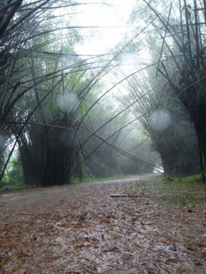 Destacan bellezas de Honduras en Día Mundial del Turismo