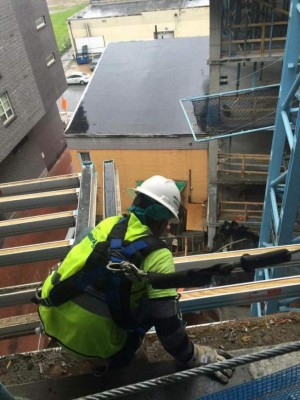 Hondureños ponen en alto nombre de su patria con su trabajo