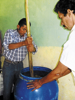 La SAG promueve ganadería orgánica en Comayagua