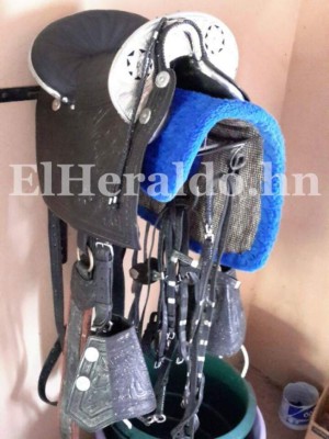Operación Relevo: Hallan lujosas monturas para caballo en casas de socios de los Valle