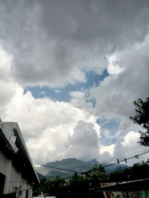 Las Fotos de los Lectores