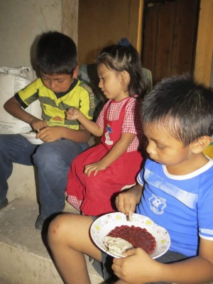 Sequía deja sin alimentos a 1,600 familias del sur de Guajiquiro