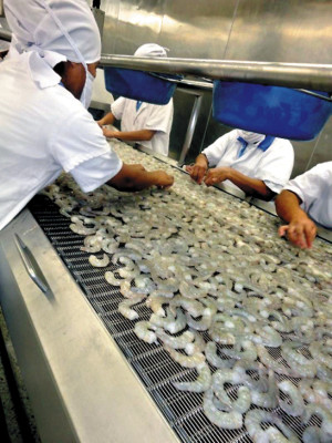 Evalúan el mercado eléctrico regional