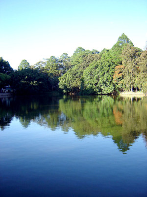 EL HERALDO te premia en el Día de la Tierra