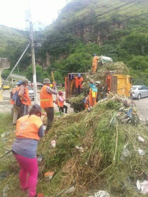 Salud programa para octubre arduo combate contra el Aedes aegypti en la capital de Honduras