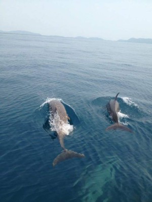 Ecosistemas de enorme riqueza escénica