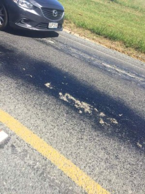 FOTOS: Huevos cocidos, llantas derretidas y animales muertos deja intensa ola de calor en Australia