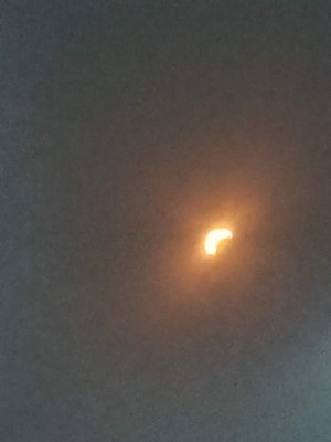 Así vivieron el eclipse solar los hondureños en Estados Unidos y el resto del mundo