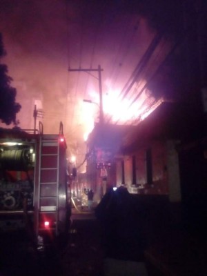 Las imágenes más impactantes del voraz incendio en el Museo del Hombre Hondureño