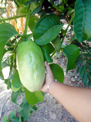 EL HERALDO te premia en el Día de la Tierra