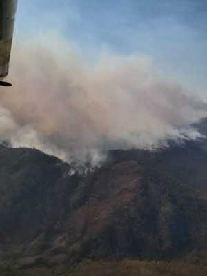 FOTOS: Devastador incedio forestal en Comayagua deja tres menores quemados