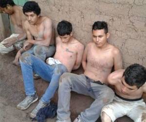 Los detenidos fueron puestos este mismo día a la orden de las autoridades.