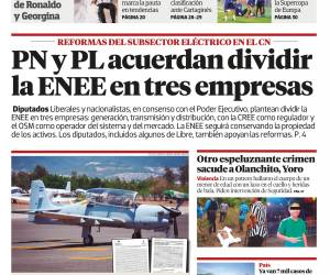 PN y PL acuerdan dividir la ENEE en tres empresas