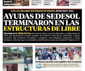 Ayudas de Sedesol terminaron en las estructuras de Libre