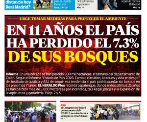 En 11 años el país ha perdido el 7.3% de sus bosques