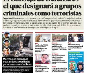 El Consejo de Defensa es el que designará a grupos criminales como terroristas