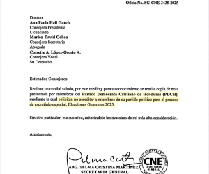 Solicitud de acreditación de la DC para escrutinio especial