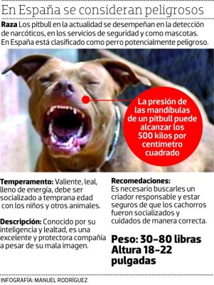 Perro pitbull mató a anciano en San Lorenzo