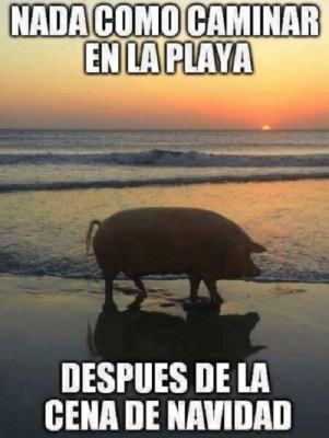 ¡A reír! Divertidos memes inundan las redes para darle la bienvenida a la Navidad 2017