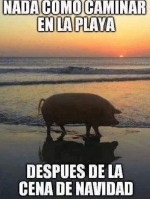 Los mejores y divertidos memes para compartir en la fiesta de Navidad