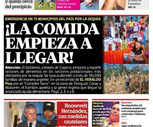 ¡LA COMIDA EMPIEZA A LLEGAR!