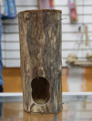 Aves exóticas, animales coloridos