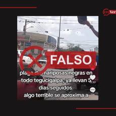 Captura de pantalla a una publicación de TikTok hecha el 14 de julio de 2026.